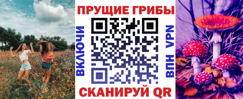 Псилоцибиновые грибы ЛСД Вольск